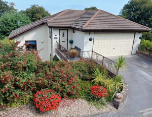 Photo 40- click for photo gallery